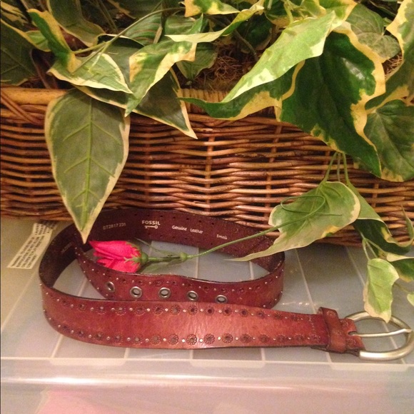 Fossil - Picture 2 of 3